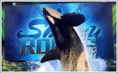 SeaWorld Orlando Attractions